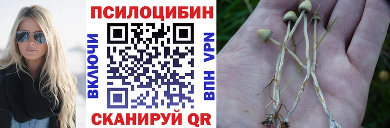 Псилоцибиновые грибы Magic Shrooms Новоузенск