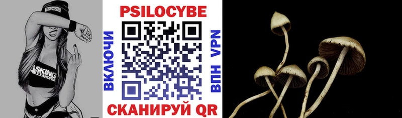 Галлюциногенные грибы Psilocybine cubensis  цены наркотик  Новоузенск 